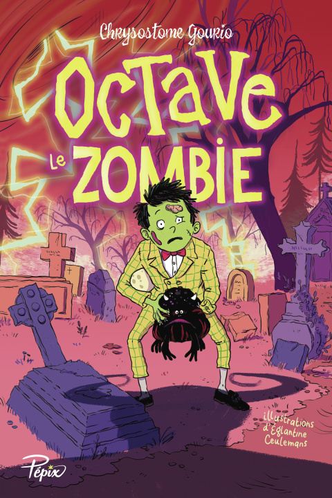 Buch Octave le zombie Gourio