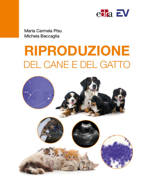 Könyv Riproduzione del cane e del gatto Maria Carmela Pisu