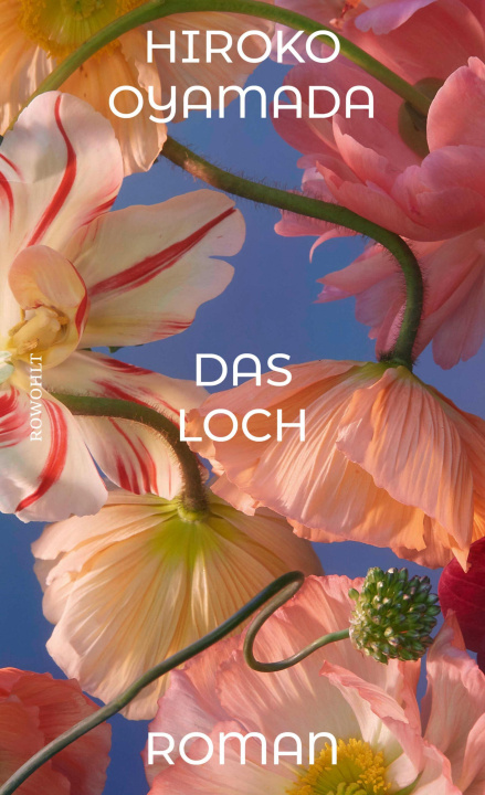 E-book Das Loch Hiroko Oyamada