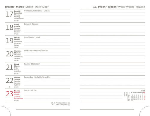 Kalender/Terminbuch Kapesní diář 2025 Vario Matragi Energy s gumičkou 