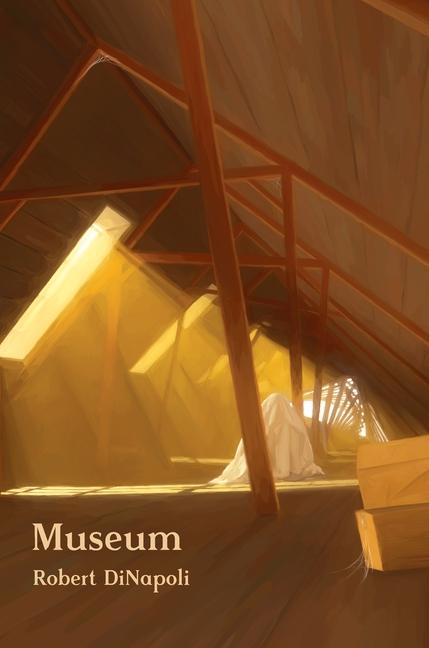 Knjiga Museum Robert DiNapoli