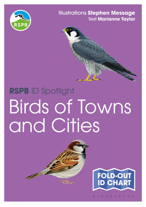 Książka RSPB ID Spotlight - Birds of Towns and Cities Stephen Message