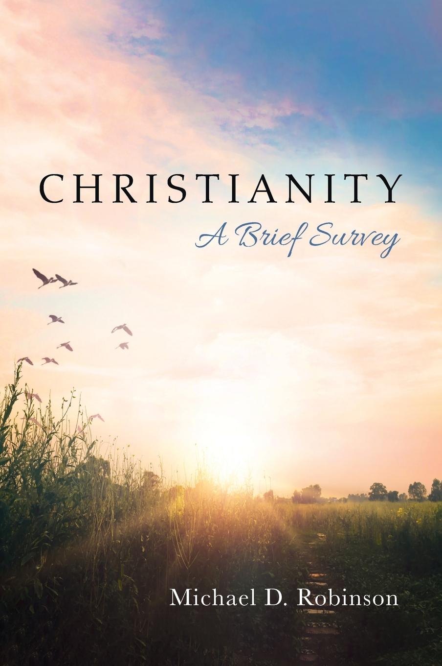 Knjiga Christianity Michael D. Robinson