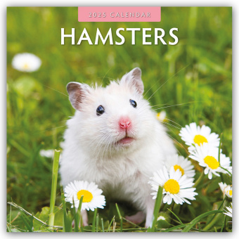 Naptár/Határidőnapló Hamsters - Hamster 2025 - 16-Monatskalender 