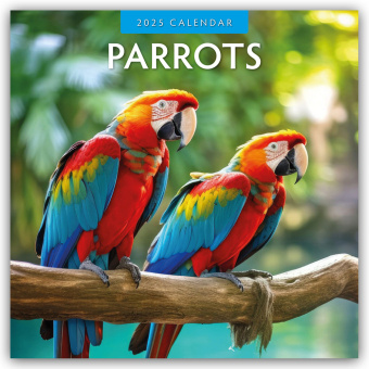 Calendario/Agenda Parrots - Papageien 2025 - 16-Monatskalender 