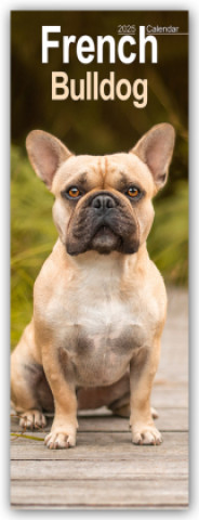 Kalendar/Rokovnik French Bulldog 2025 