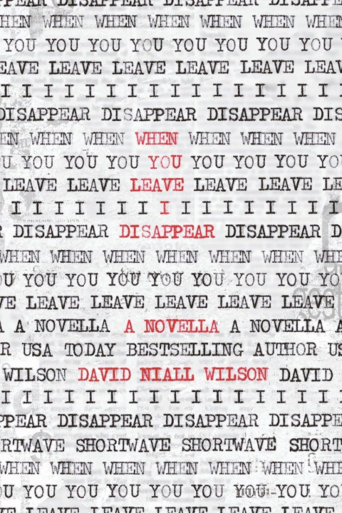 Knjiga When You Leave I Disappear David Niall Wilson