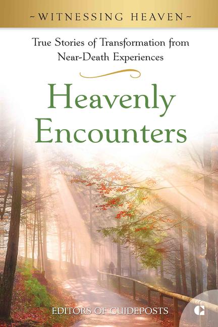 Knjiga Heavenly Encounters 
