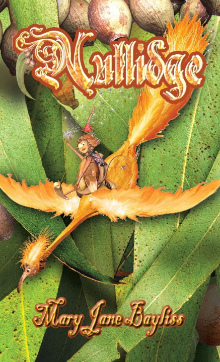 Knjiga Nutlidge Mary Jane Bayliss