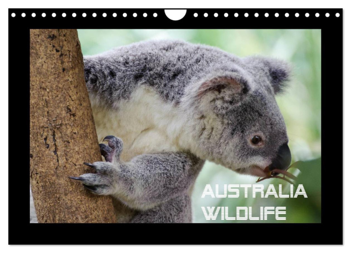 Kalendář/Diář Australia Wildlife (Wandkalender 2025 DIN A4 quer), CALVENDO Monatskalender 