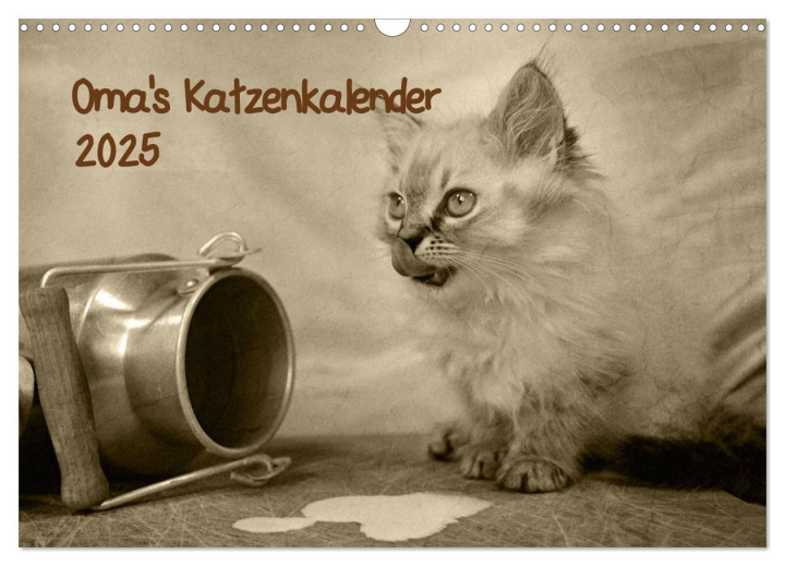 Calendario/Agenda Oma's Katzenkalender 2025 (Wandkalender 2025 DIN A3 quer), CALVENDO Monatskalender 