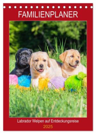 Calendar/Diary Familienplaner - Labrador Welpen entdecken die Welt (Tischkalender 2025 DIN A5 hoch), CALVENDO Monatskalender 