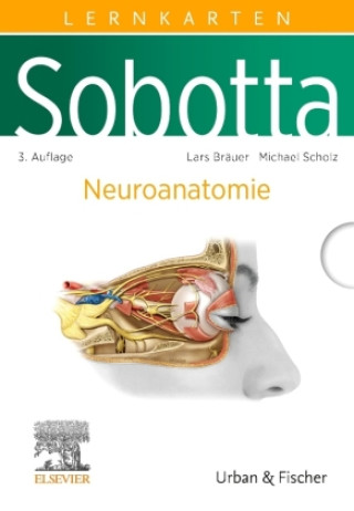 Hra/Hračka Sobotta Lernkarten Neuroanatomie Michael Scholz