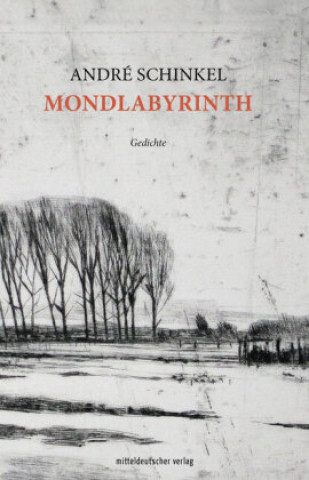 Książka Mondlabyrinth André Schinkel