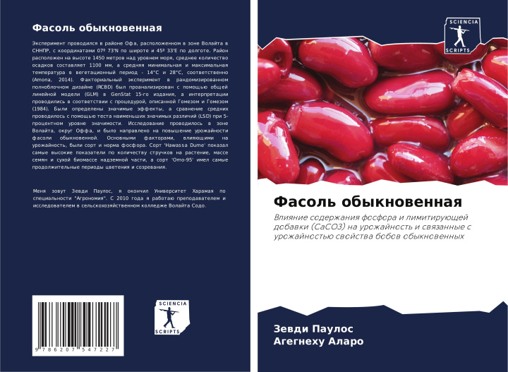 Knjiga Fasol' obyknowennaq Agegnehu Alaro