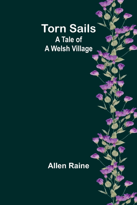 Knjiga Torn Sails Allen Raine