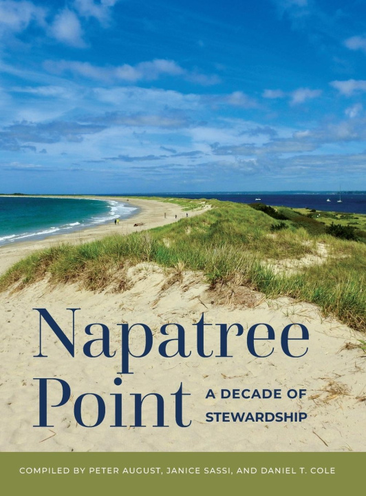 Knjiga Napatree Point Janice Sassi
