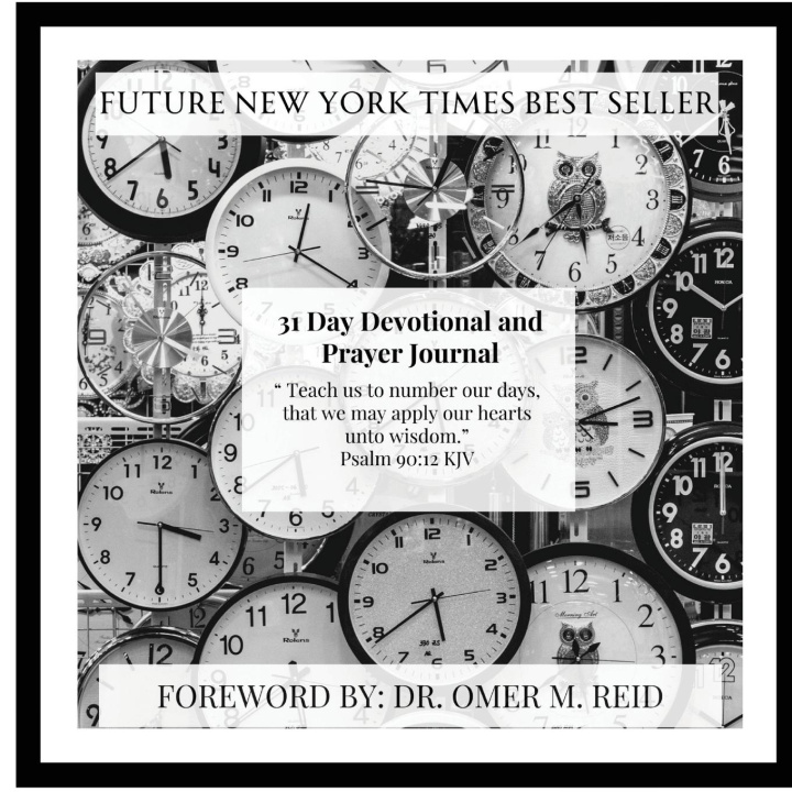 Knjiga 31 Day Devotional and Prayer Journal Rich P Successful