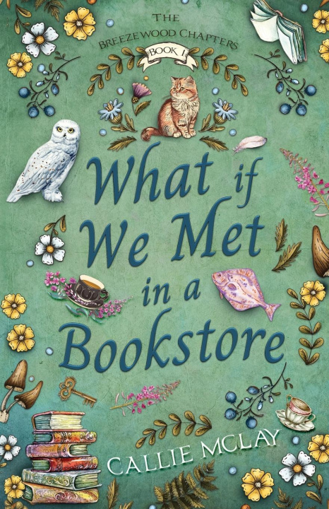 Kniha What If We Met In A Bookstore 