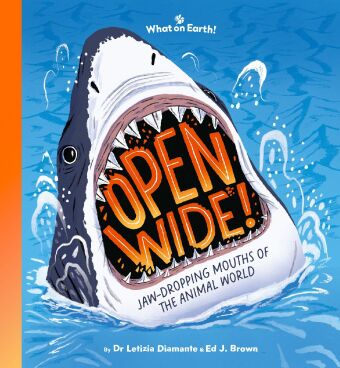 Βιβλίο Open Wide! Letizia Diamante