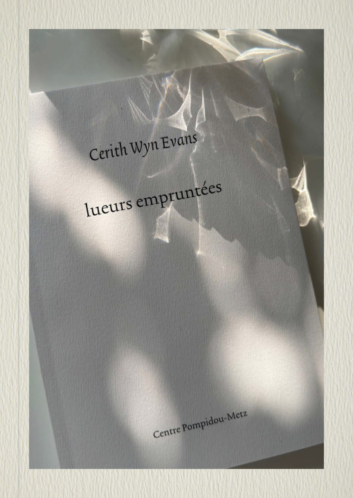 Boek Cerith Wyn Evans Alliez