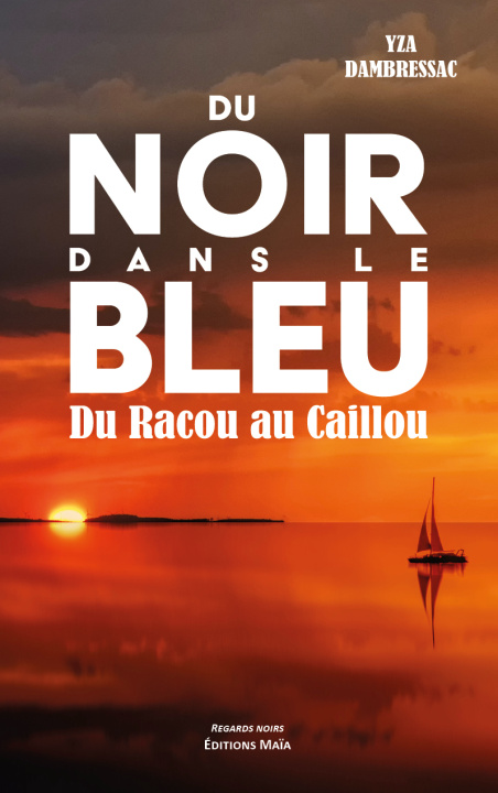 Книга Du noir dans le bleu Dambressac