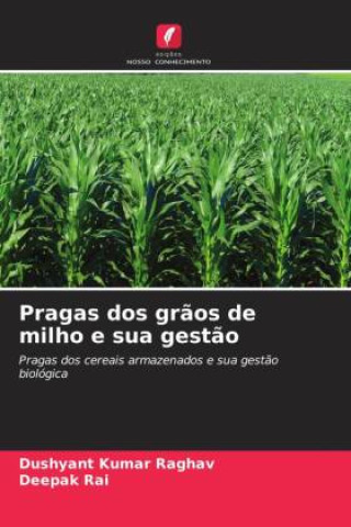 Buch Pragas dos grãos de milho e sua gestão Dushyant Kumar Raghav