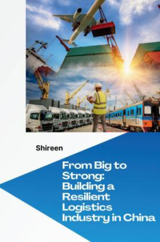 Boek China's Logistics Boom: Securing Success with Risk Management Shireen