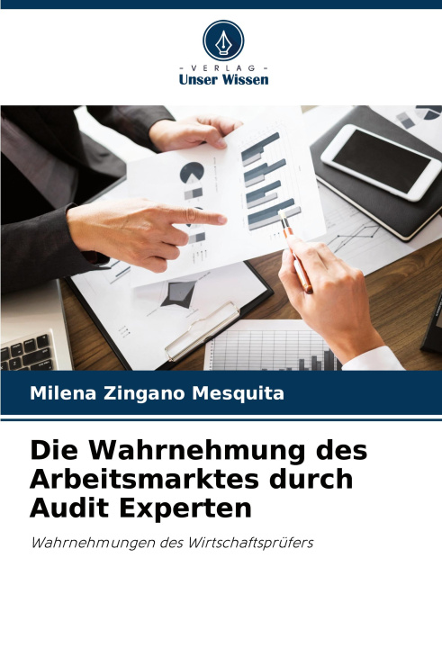Kniha Die Wahrnehmung des Arbeitsmarktes durch Audit Experten Milena Zingano Mesquita