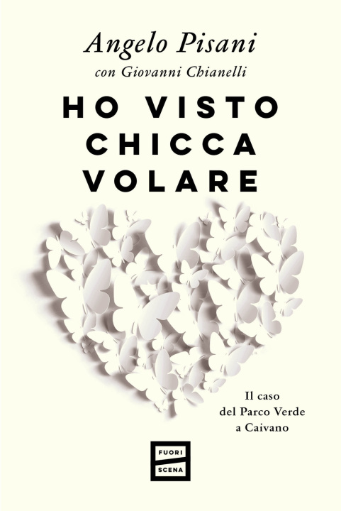 Kniha Ho visto Chicca volare. Il caso del Parco Verde a Caivano Angelo Pisani