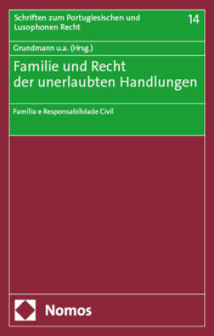 Boek Familie und Recht der unerlaubten Handlungen Stefan Grundmann