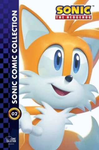 Book Sonic Comic Collection 02 Ian Flynn