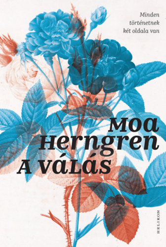 Libro A válás Moa Herngren