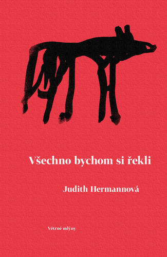 Book Všechno bychom si řekli Judith Hermannová