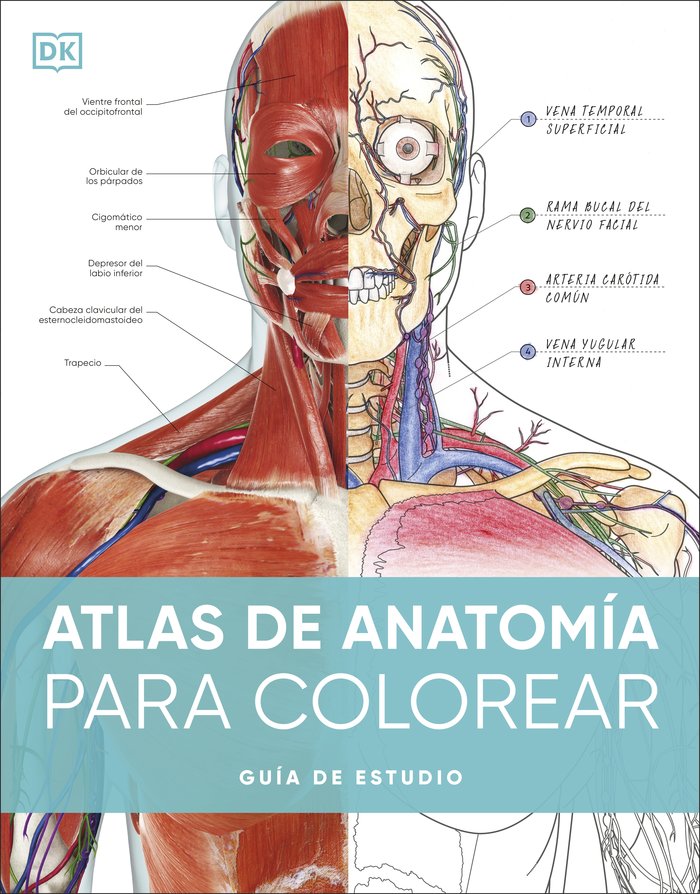 Knjiga ATLAS DE ANATOMIA PARA COLOREAR DK