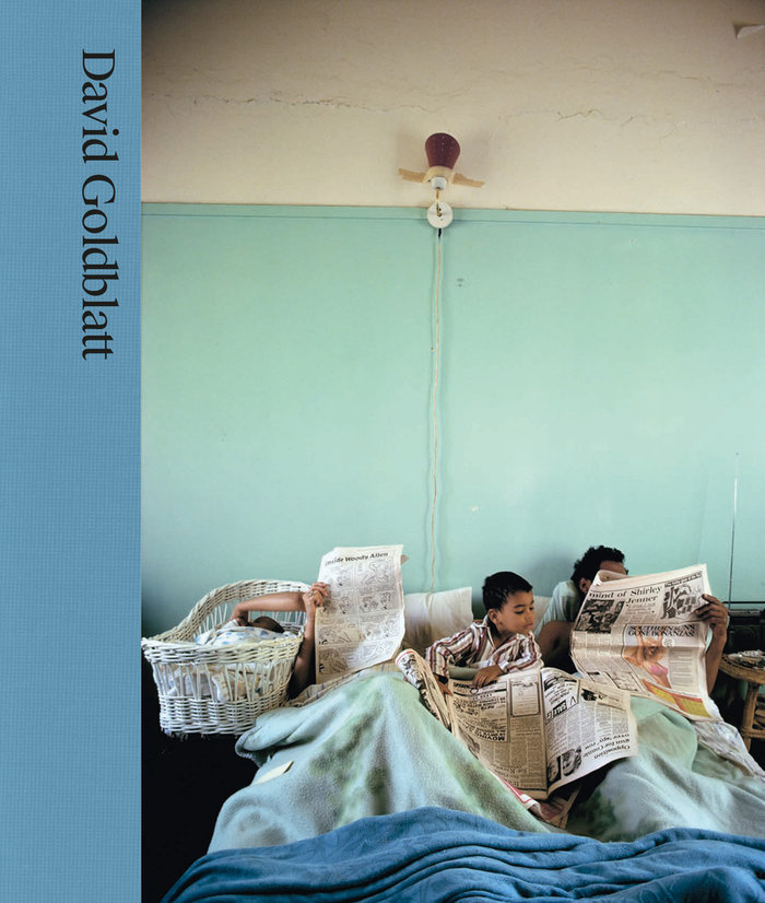 Kniha DAVID GOLDBLATT DITNER