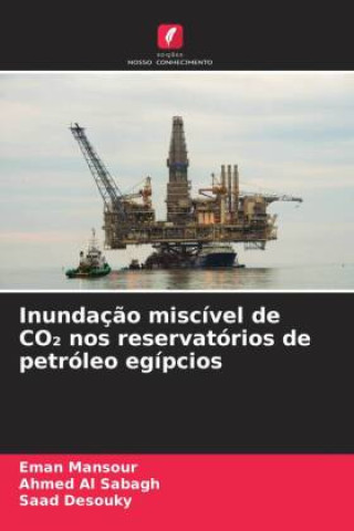 Buch Inundação miscível de CO2 nos reservatórios de petróleo egípcios Eman Mansour