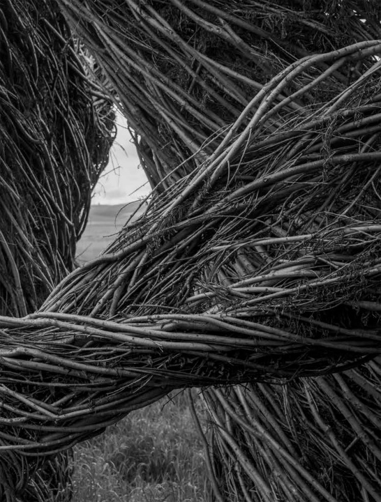 Book PATRICK DOUGHERTY JAMES FLORIO DOUGHERTY PATRICK
