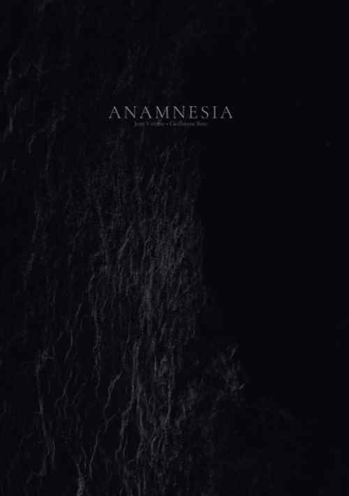 Knjiga ANAMNESIA Vicente