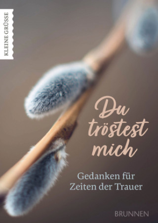 Knjiga Du tröstest mich Christine Benda