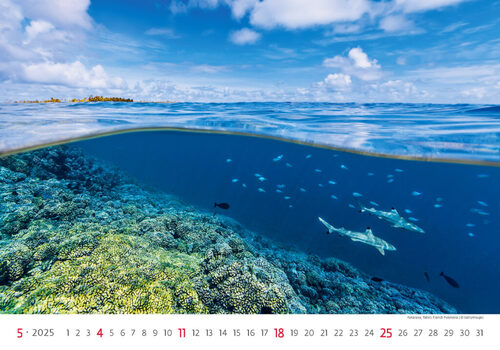 Calendar/Diary Sea 2025 - nástěnný kalendář 