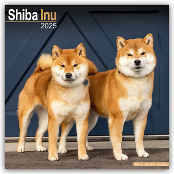 Kalendarz/Pamiętnik Shiba Inu 2025 - 16-Monatskalender Avonside Publishing Ltd