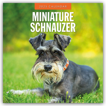 Kalendarz/Pamiętnik Miniature Schnauzer - Zwergschnauzer 2025 - 16-Monatskalender Red Robin Publishing Ltd