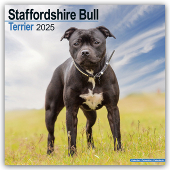 Календар/тефтер Staffordshire Bull Terrier - Staffordshire Bull Terrier 2025 - 16-Monatskalender Avonside Publishing Ltd