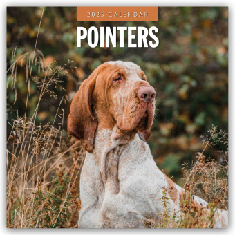 Calendar/Diary Pointers - Vorstehhund - Pointer 2025 - 16-Monatskalender Red Robin Publishing Ltd