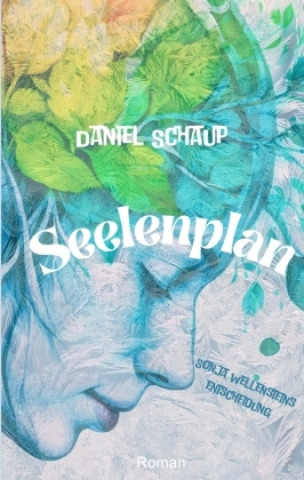 Boek Seelenplan Daniel Schaup