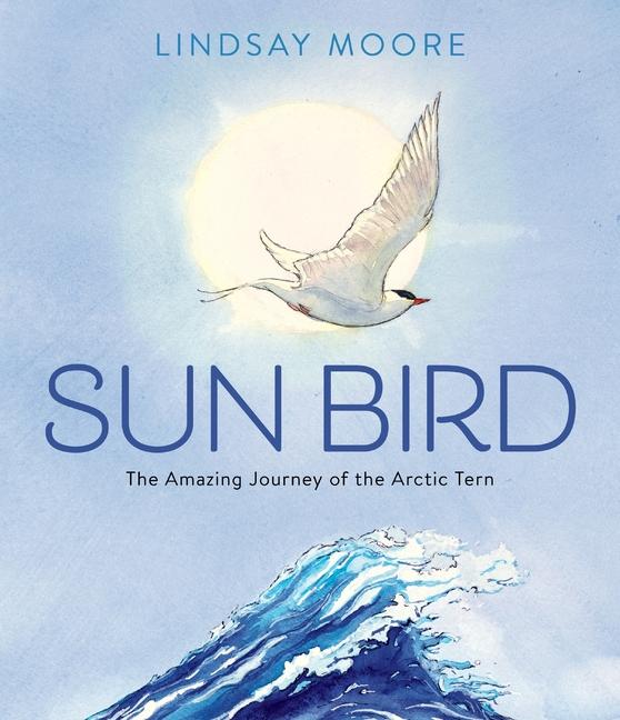 Book Sun Bird Lindsay Moore
