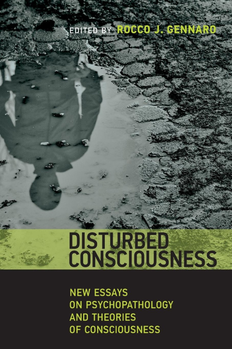 Boek Disturbed Consciousness Rocco J. Gennaro