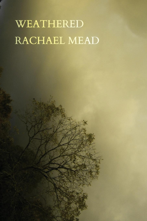 Knjiga Weathered Rachael Mead