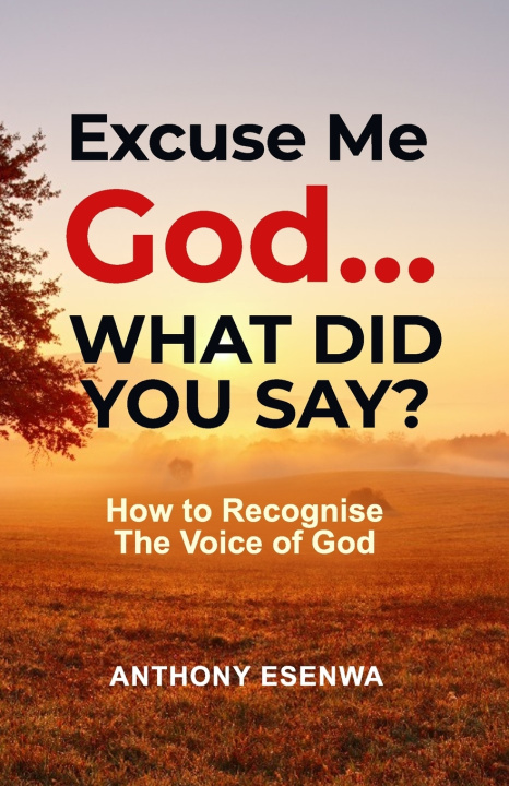 Knjiga Excuse me God... What did you say? Anthony Esenwa